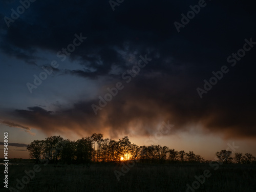 the sun shines through trees at sunset 