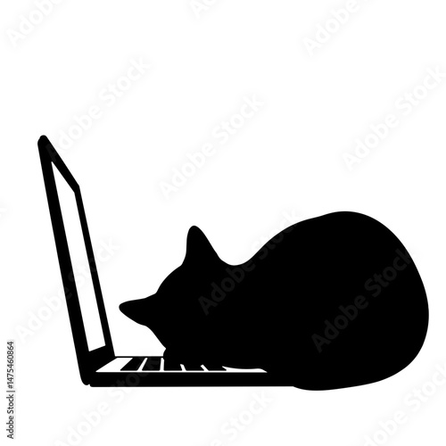 Silhouette of Cat Sleeping Beside Laptop, Concept of Companionship and Warmth in Home and Work Settings