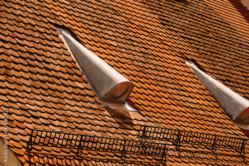 An artistic perspective showcasing a beautifully tiled roof adorned with distinctive skylight structures
