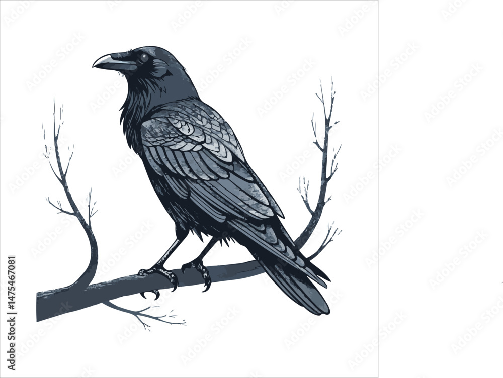Fototapeta premium Crow Vector