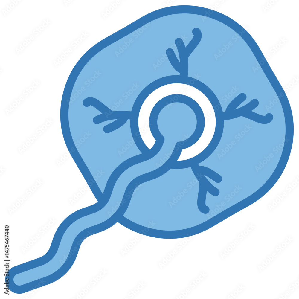 Fototapeta premium Placenta Icon