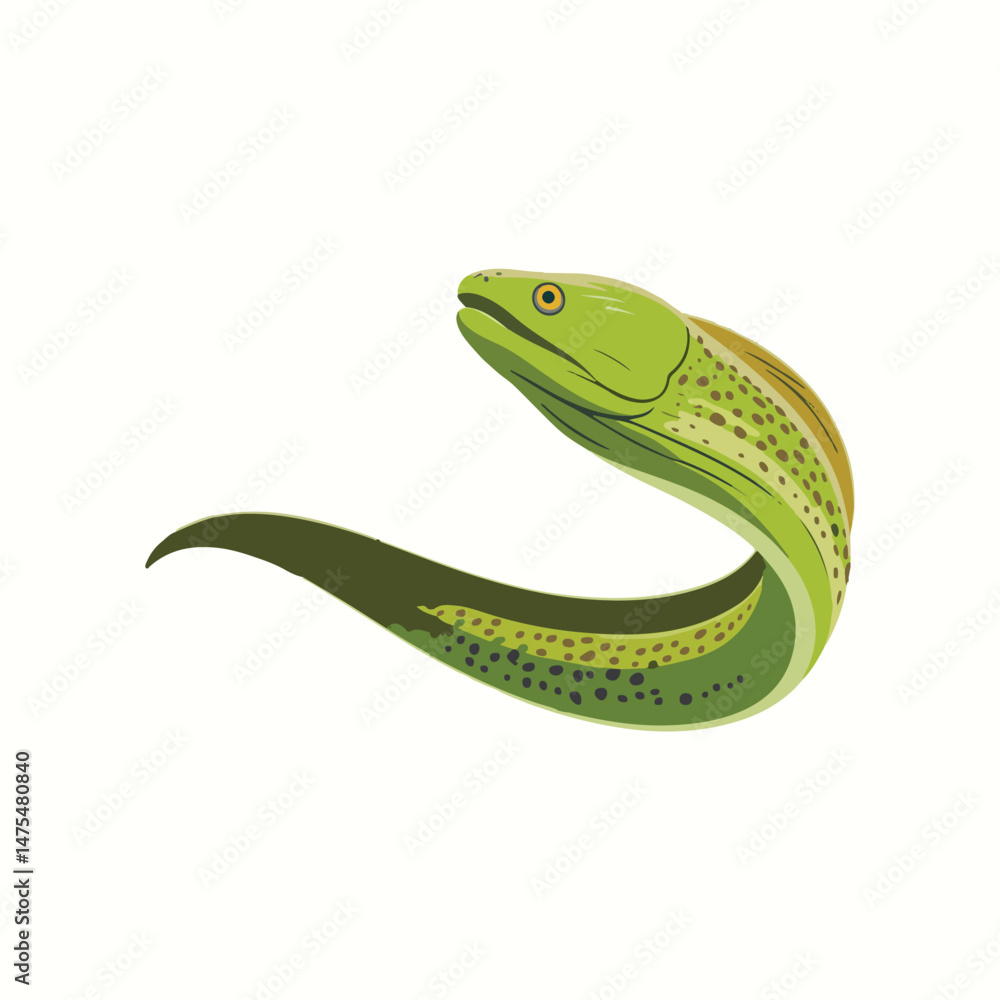 Fototapeta premium A bright green moray eel with yellow eyes and dark spots is shown swimming in a curved posture against a white background.