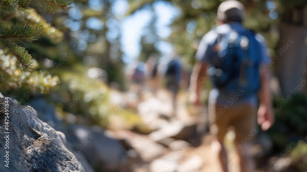 A group of friends explore a forested wilderness trail in nature A group of friends explore a forested wilderness trail in nature