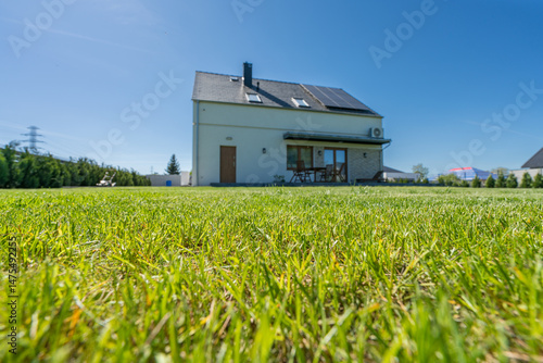 Obraz na płótnie Freshly cut grass with blurred fully detached house in the background. Selective focus on the grass w salonie