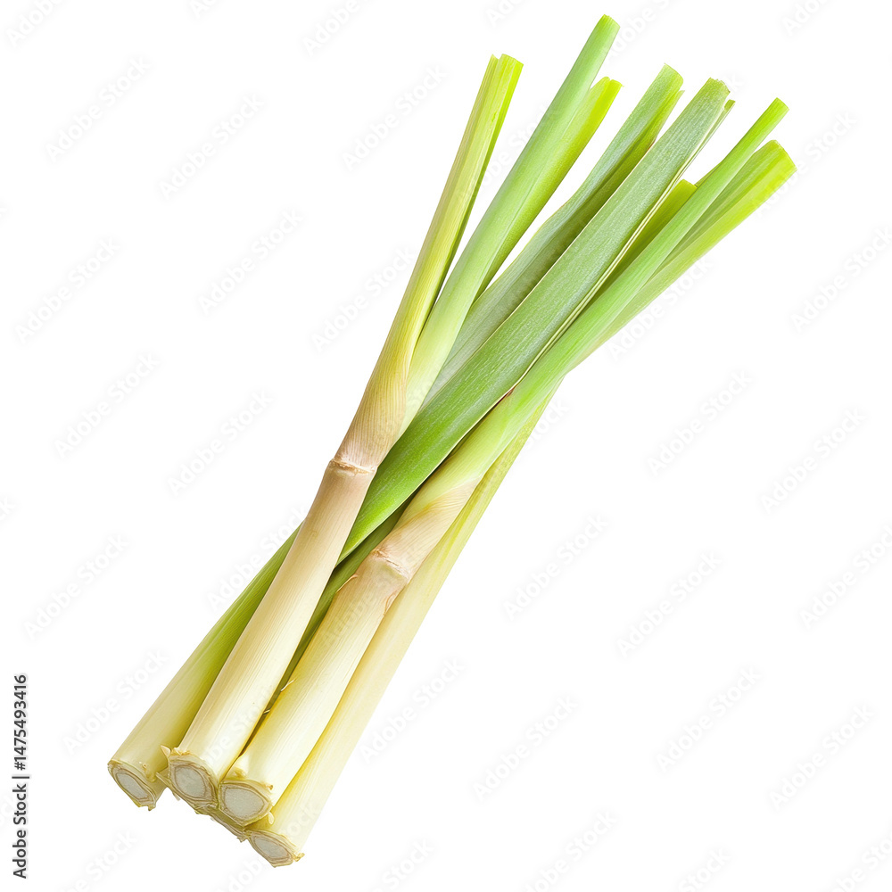 Fototapeta premium Fresh lemongrass stalks isolated on a Transparent background for culinary uses and aroma enhancement, slice of fresh Lemongrass isolated on PNG background