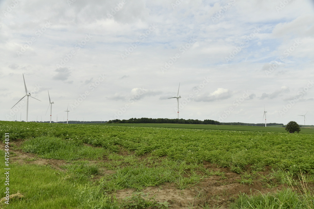 Fototapeta premium Série d'éoliennes sous un ciel gris à Ghislenghien (Ath)