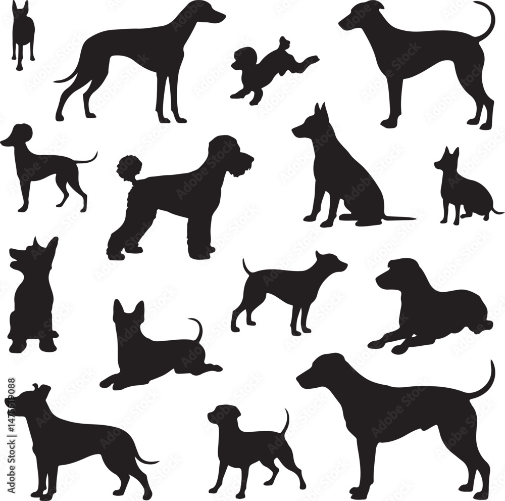 Fototapeta premium “Dog Silhouette SVG Bundle | Pet Clipart, Paw Prints & Dog Breed Vectors for Shirts & Crafts”“Dog Lover Vector Pack | Cute & Classic Dog SVGs for T-Shirts, Stickers, and DIY Projects”