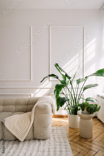 Modern white interior featuring a comfortable couch and elegant greenery