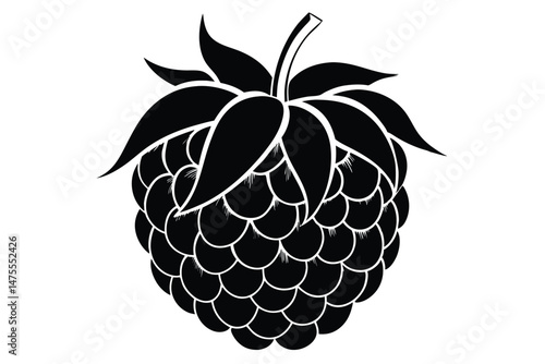 A single black raspberry fruit has detailed leaves and unique texture in monochrome