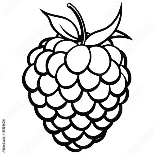 An outlined raspberry shows its distinct segments and leafy top in simple form