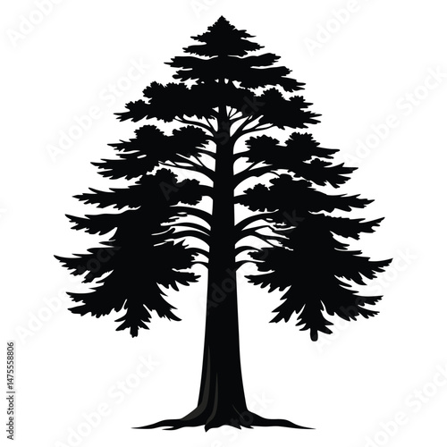 Detailed silhouette art shows a tall pine tree with needles and a complex branching pattern