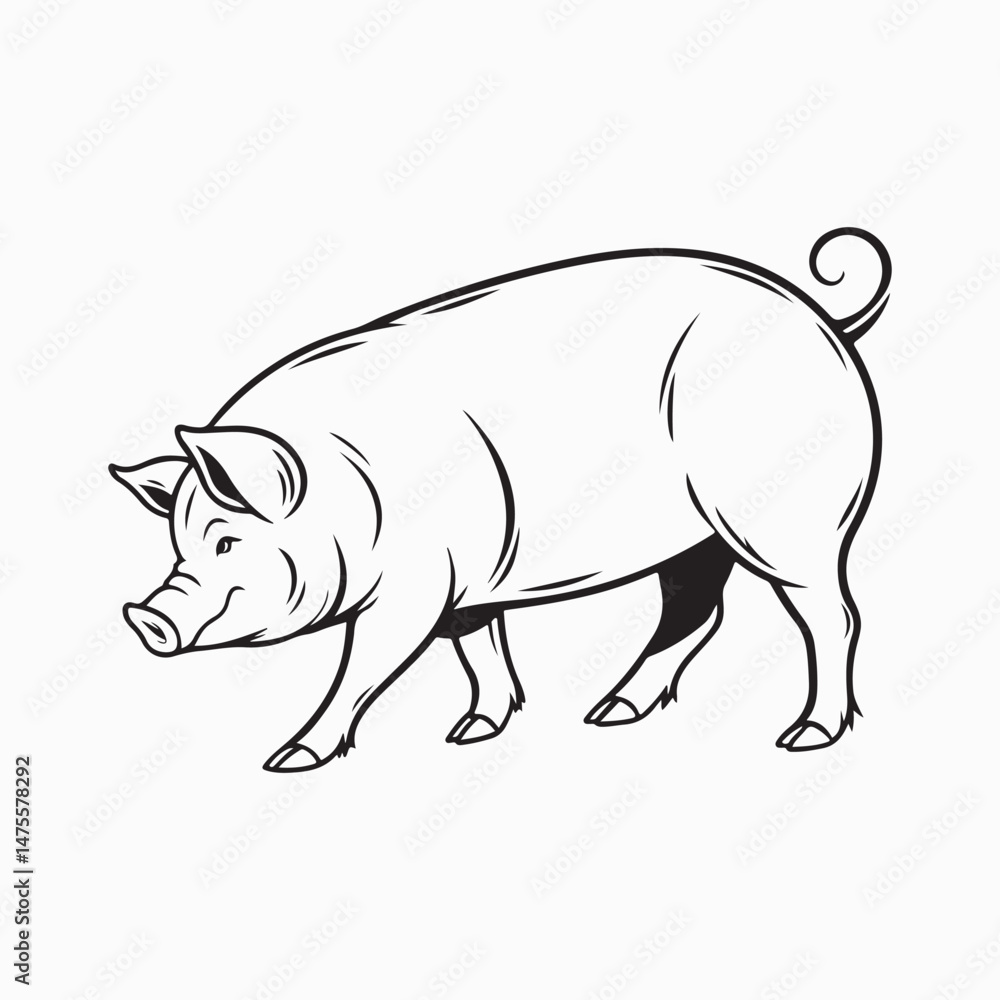 Fototapeta premium yorkshire pig vector art illustration
