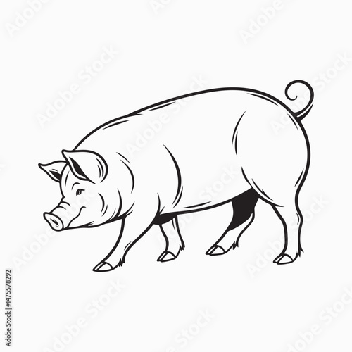 yorkshire pig vector art illustration
