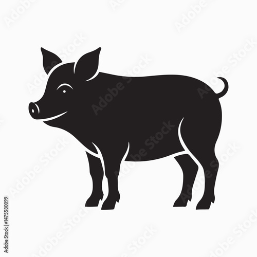yorkshire pig vector art illustration