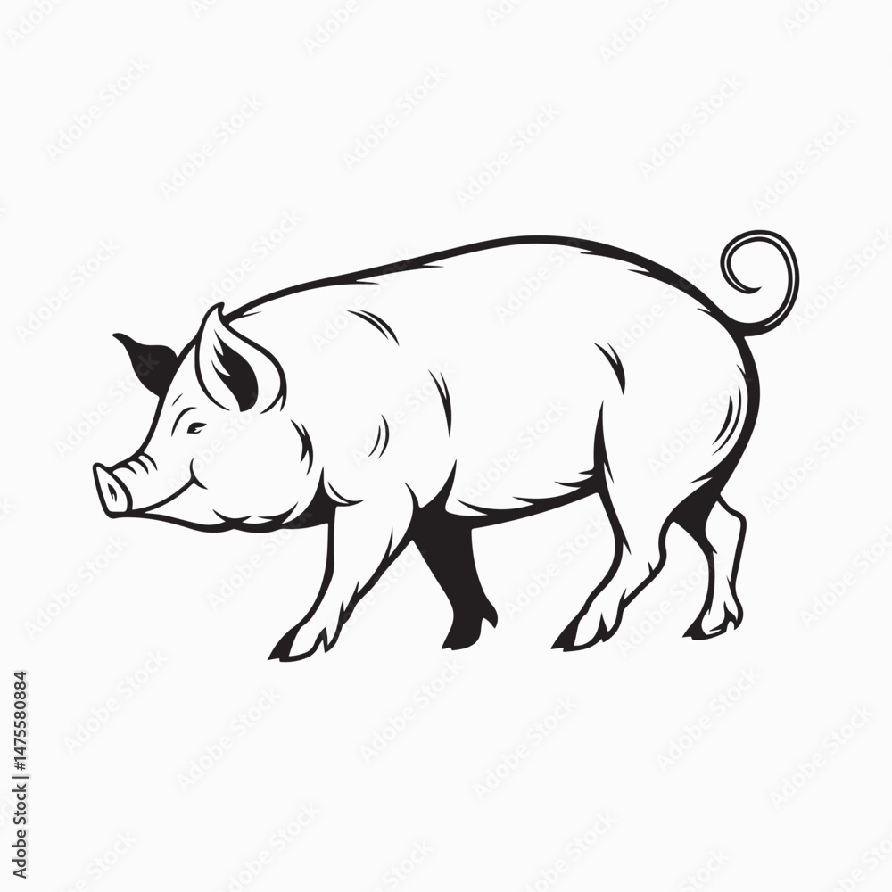 Fototapeta premium yorkshire pig vector art illustration