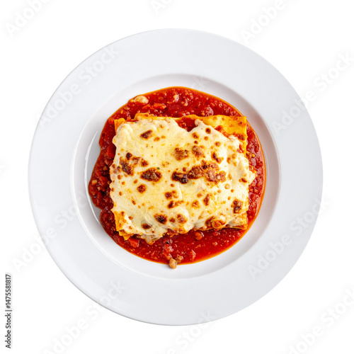Delicious Plate of Lasagna ...