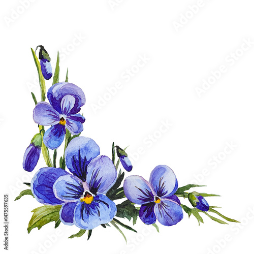 Watercolor composition with purple violets on a transparent background