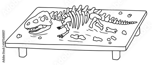 dinosaur skeleton on display outline vector illustration – museum fossil in black and white