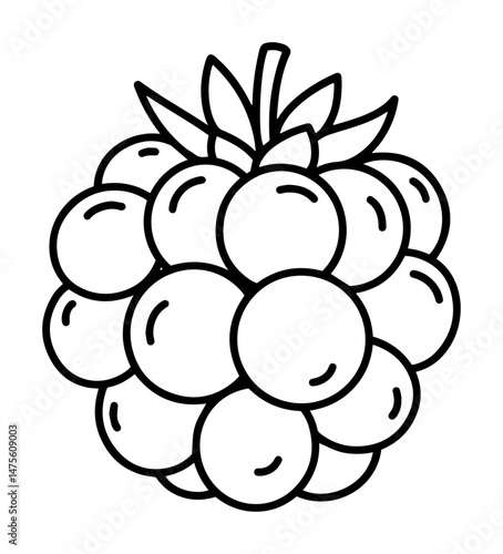 raspberry fruit outline vector illustration – healthy food icon