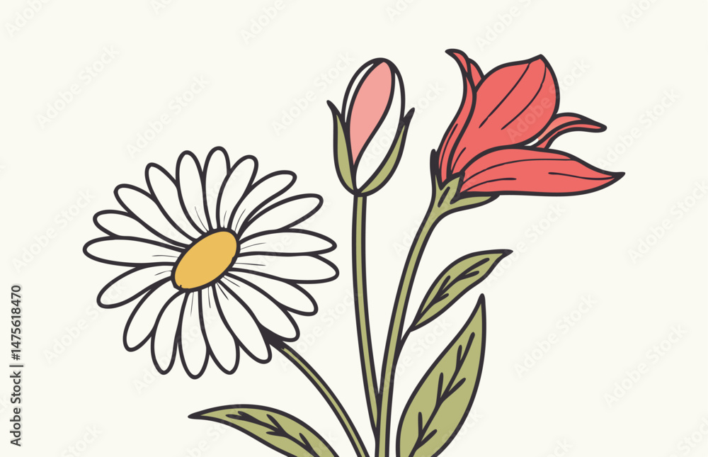 Daisy and Tulip Flower Pair Illustration Daisy and Tulip Flower Pair Illustration