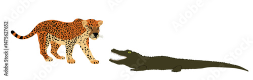 Ambush jaguar attack alligator vector illustration isolated. Survivor watering place battle powerful reptile against wild cat animal. Under water predator carnivore caiman lurking prey feline panther.