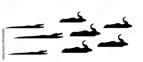 Pack open jaws crocodile attack nyala herd vector silhouette illustration isolated. Survivor watering place battle reptile vs deer antelope animal. Wildlife water hunt predator carnivore hunting prey.