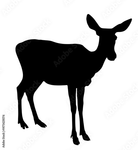 Deer female vector silhouette illustration isolated. Reindeer fawn shape. Proud Noble Deer in forest or zoo. Roe deer standing on alert looking. Doe isolated. Fawn elk shadow.