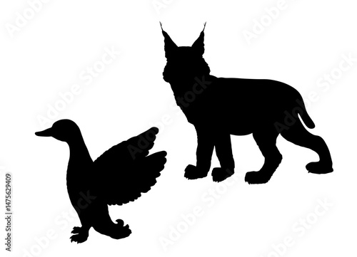 Cunning lynx hunter lurks duck vector silhouette isolated. Smart animal predator. Hungry bobcat bird hunting drake behind back. Forest wildlife food chain chantry poultry danger. Wild cat in hunt.
