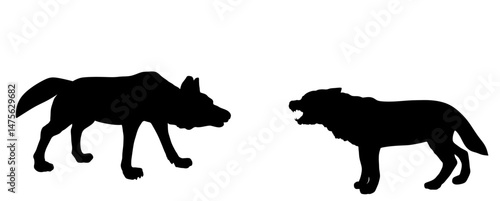 Hunter hungry wolf hunts rabbit vector silhouette illustration isolated on white background. Angry predator animal chase food  prey hare shape. Wolf shadow bunny. Wildlife food chain.