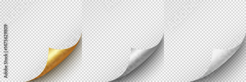 Curled page corners isolated on transparent background. Blank curve paper edge, bent sheet, note angle with realistic shadow. Vector rolled up stickers, peel banners