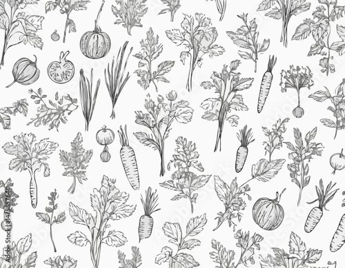 Intricate Line Art Pattern of Various Vegetables and Herbs, Including Carrots, Tomatoes, and Basil, Ideal for Vegetarian and Vegan Food Blogs, Recipe Illustrations, and Culinary Arts Projects.