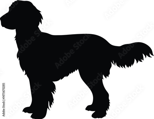 Retriever silhouette, Line art vector illustration of a Golden Retriever with a soft wavy coat and standing happily