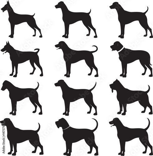 A striking black silhouette of a dog with a long tail sniffing the ground. It captures the simple, 
yet powerful, beauty of canine companionship. 