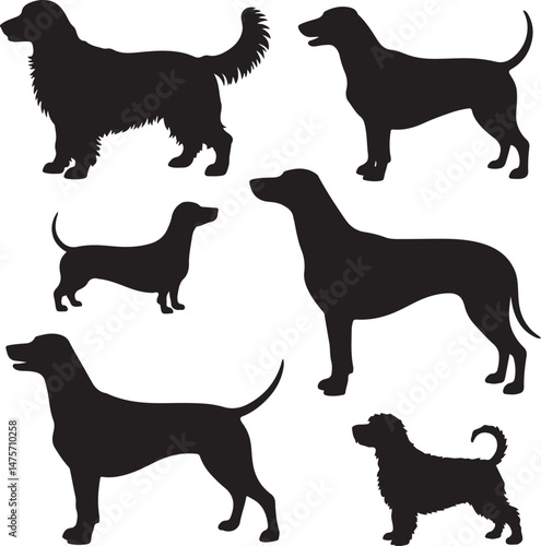 A striking black silhouette of a dog with a long tail sniffing the ground. It captures the simple, 
yet powerful, beauty of canine companionship. 