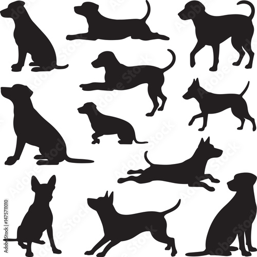 A striking black silhouette of a dog with a long tail sniffing the ground. It captures the simple, 
yet powerful, beauty of canine companionship. 