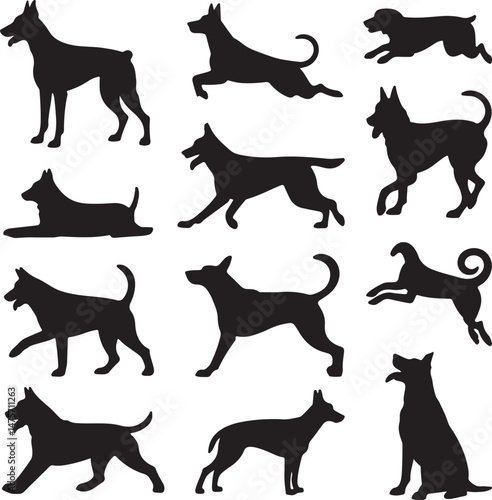 A striking black silhouette of a dog with a long tail sniffing the ground. It captures the simple, 
yet powerful, beauty of canine companionship. 