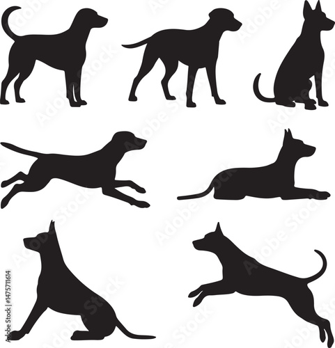 A striking black silhouette of a dog with a long tail sniffing the ground. It captures the simple, 
yet powerful, beauty of canine companionship. 
