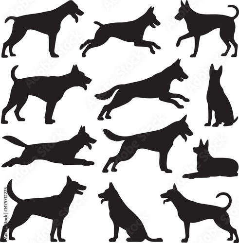 A striking black silhouette of a dog with a long tail sniffing the ground. It captures the simple, 
yet powerful, beauty of canine companionship. 