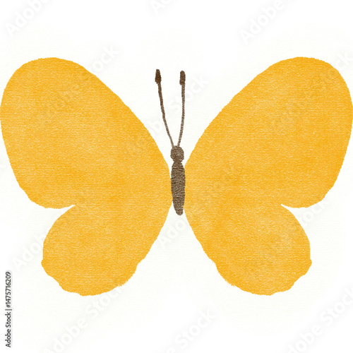 Isolated painting illustration of butterfly on white background