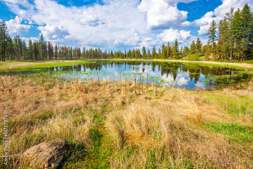 View of Winslow Pool from the 1.6 mile Pine Lake Loop trail at the 23,000 acre Turnbull National Wildlife Refuge in Cheney, Washington State, Spokane County.