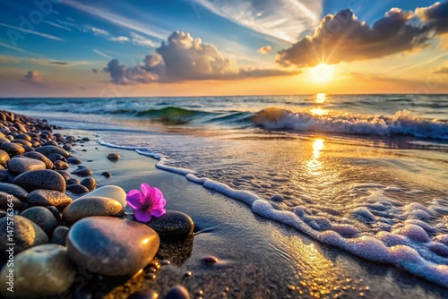 Panoramic Ocean View: Tranquil Stones & Coastal Flower