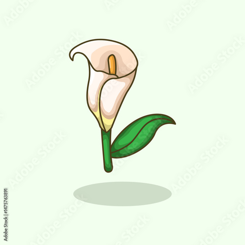 Vector illustration of calla lily flower plant symbolizing purity elegance and beauty Perfect for floral design wedding themes botanical projects and nature