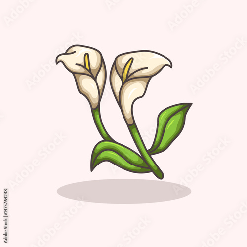 Vector illustration of calla lily flower plant symbolizing purity elegance and beauty Perfect for floral design wedding themes botanical projects and nature