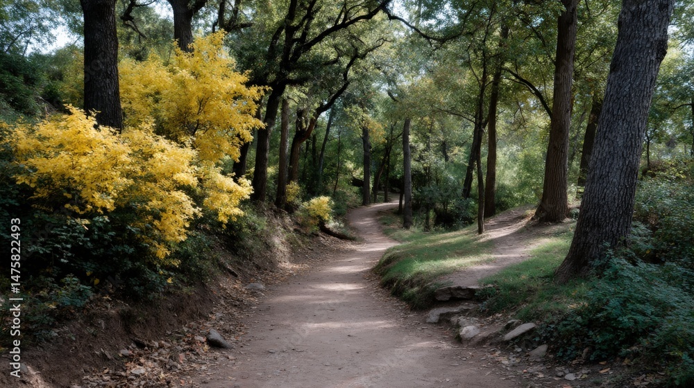 Naklejka premium Tranquil Nature Trail Surrounded by Lush Green Trees and Vibrant Yellow Wildflowers on a Sunny Day in a Peaceful Forest Environment