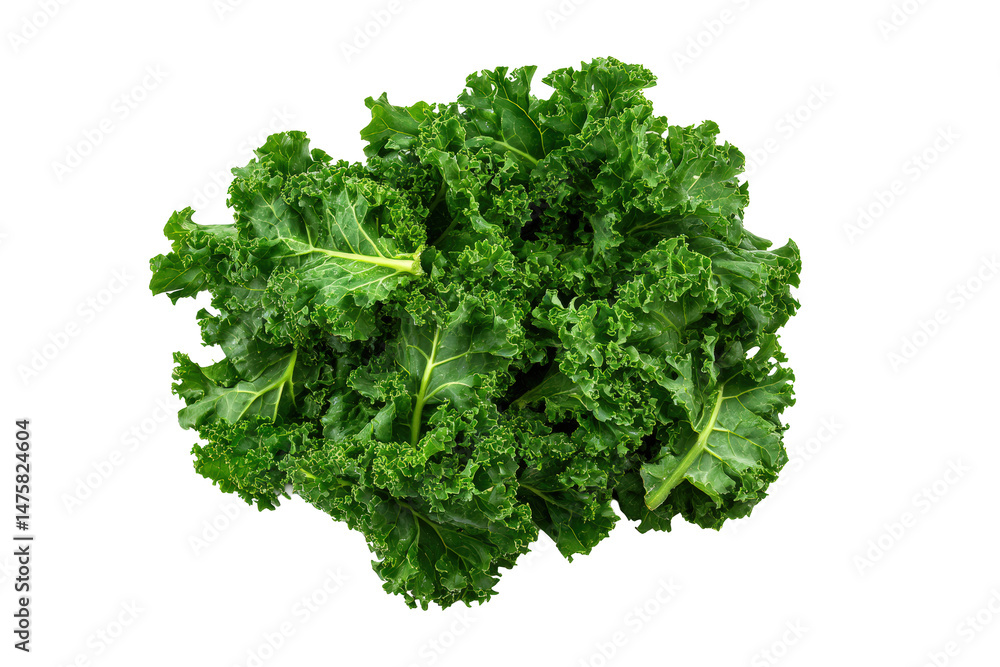 Fototapeta premium Kale individual leaves curved fan across white flatlay isolated on transparent background