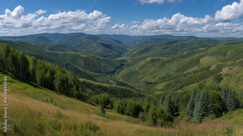Obraz premium Expansive Mountain Landscape with Lush Green Valleys and Dramatic Cloudy Sky in Remote Wilderness Area