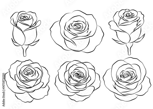 set of outline roses on white background