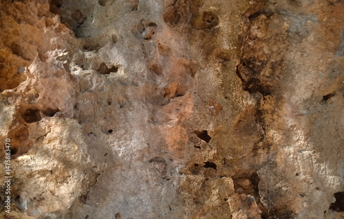 rusty coral background 