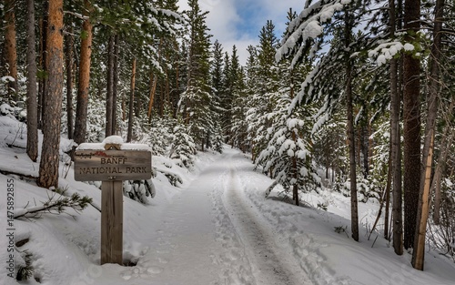 winter, Banff, Canada, Snowy Forest Trail Entrance Sign