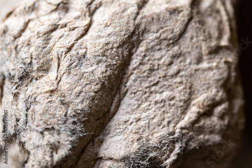 The texture of the pressed paper, the cushioning material of the packaging